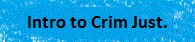 Introduction to Criminal Justice